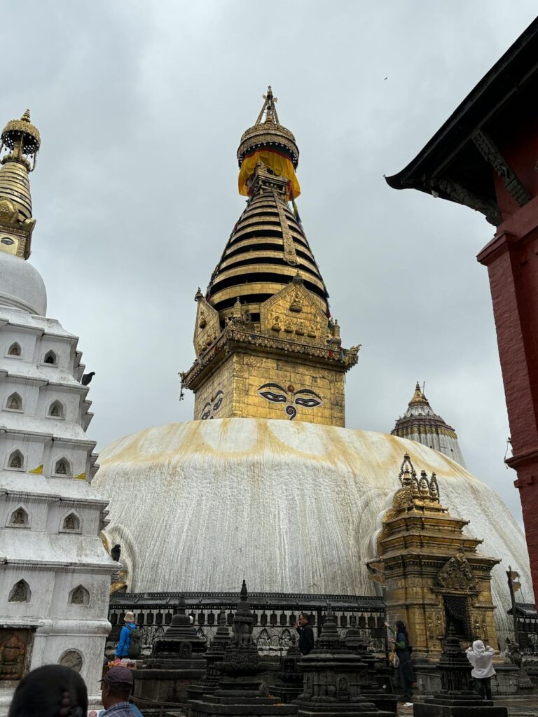 About Hotels Booking Nepal