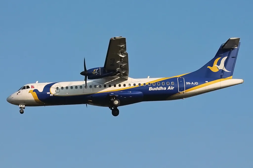 Domestic Flight Services