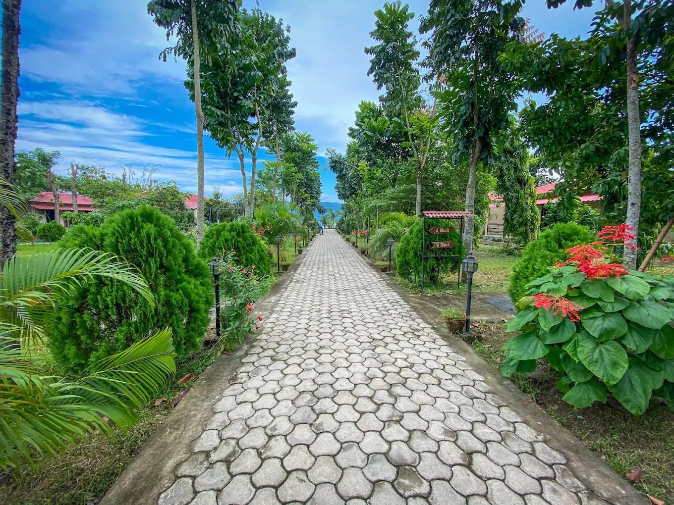 Sitara Resort 8